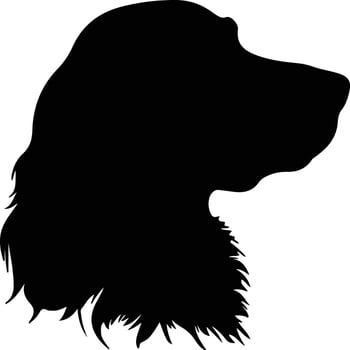 Field Spaniel  silhouette portrait vector