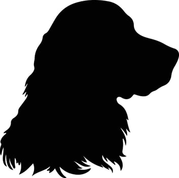 Field Spaniel  silhouette portrait vector