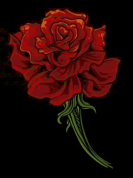 vector illustration red rose