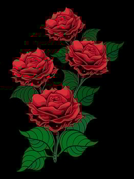 vector illustration red rose