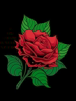 vector illustration red rose