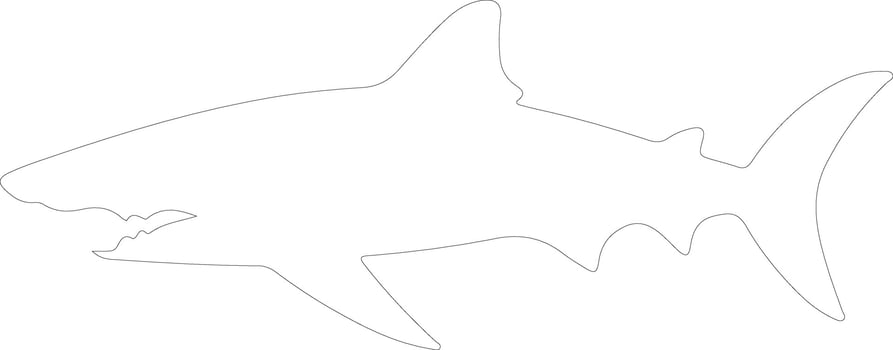 basking shark  outline silhouette vector