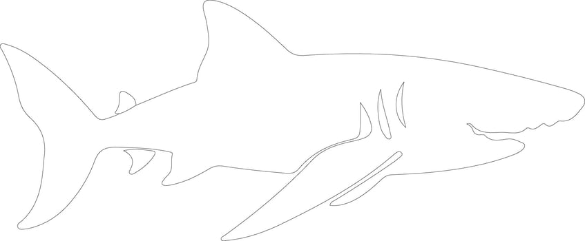 basking shark  outline silhouette vector