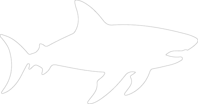 basking shark  outline silhouette vector