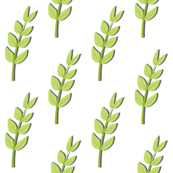 A seamless pattern of tree branches and leaves PNG transparent background in a spring minimal floral concept, illustration