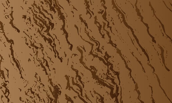 a brown wood texture with a dark stain vector