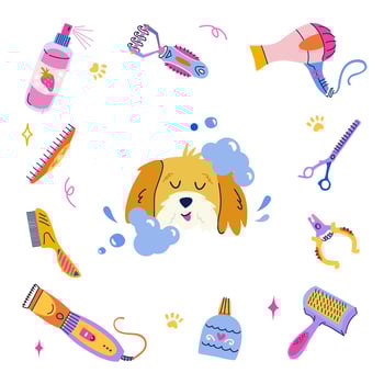 Pet grooming concept. Cute bathing dog in soapy foam. Set of equipment, tools and cosmetics for grooming. Flat cartoon vector frame for branding, banner, poster, postcard