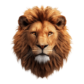 AI generated Lion on Transparent background - Ai Generated png