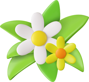 3d realistic daisies, grass and leaves png
