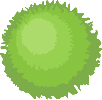 Trees top view. png