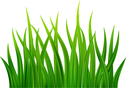 Green grass meadow border png