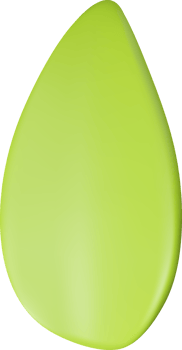 3d realistic green leaf png