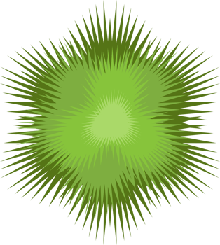 Trees top view. png