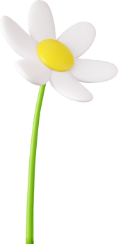 3d colorful daisy flower png