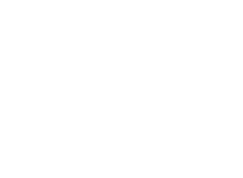 Falling Shining Snowflakes white. png