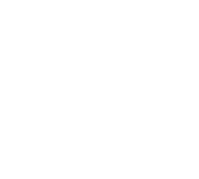 Falling Shining Snowflakes white. png