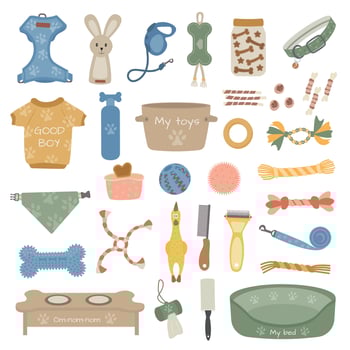 Pets goods, accessories set, dogs toys, food, supplies, feed, bowl, brush. Dog goods, stuff. Pet shop icons. Dog care, food, clothes, bone, kennel, collar, treats. vector