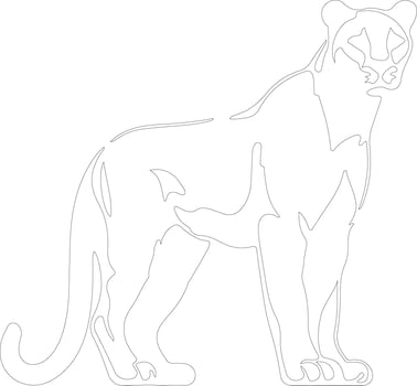 cougar outline silhouette vector