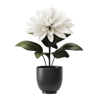 AI generated Flower tree in the pot isolated on a transparent background. png