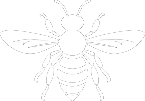 hornet  outline silhouette vector