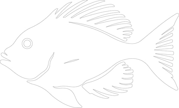 John Dory  outline silhouette vector