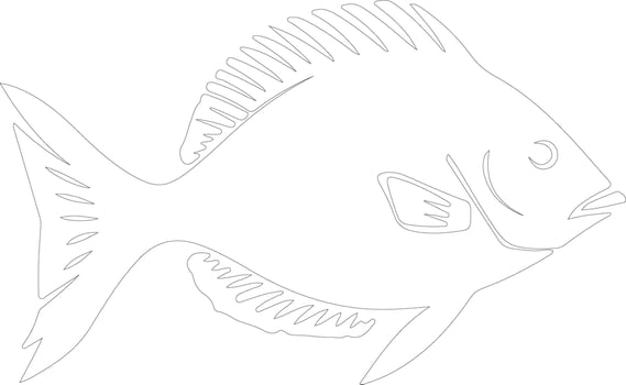 John Dory  outline silhouette vector