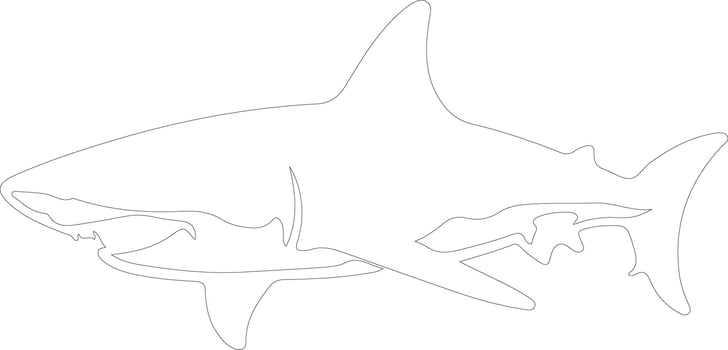 great white shark  outline silhouette vector