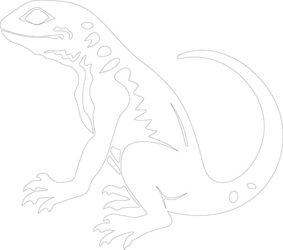 lizard  outline silhouette vector