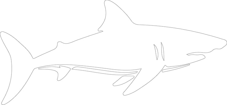 luminous shark  outline silhouette vector