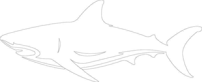 luminous shark  outline silhouette vector