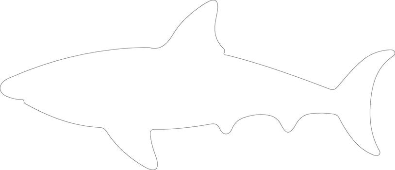 nurse shark  outline silhouette vector