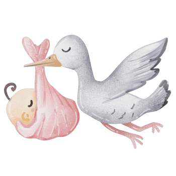 watercolor stork with newborn baby png