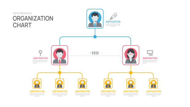 Infographic template for organization chart with business avatar icons. vector infographic for business.