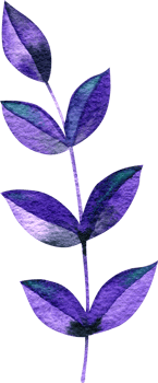 Watercolor violet foliage isolated element png
