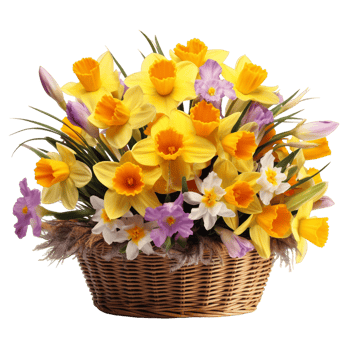 AI generated Fresh colorful yellow roses and blue irises in a basket against png