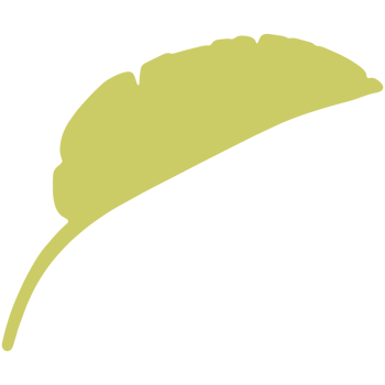 Green tropical leaves. png
