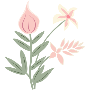 Tropical leaves and flowers. Palm, banana leaf, hibiscus, plumeria flowers. png