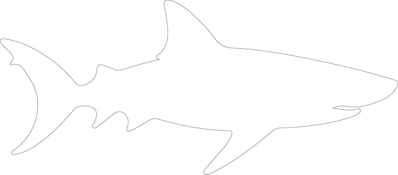 shark   outline silhouette vector