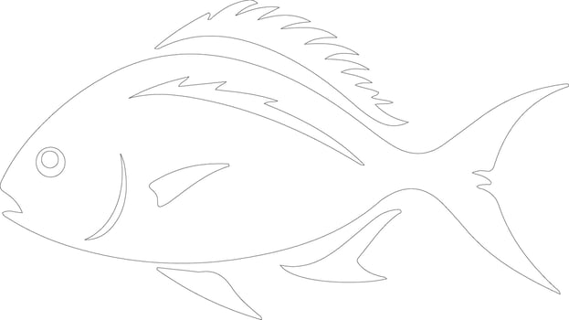 pompano    outline silhouette vector