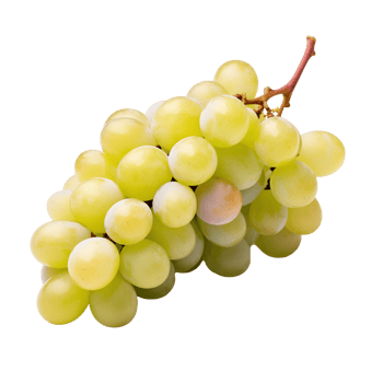 AI generated Grapes isolated on a transparent background. png