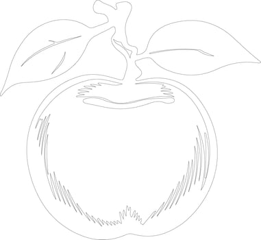 persimmon  outline silhouette vector