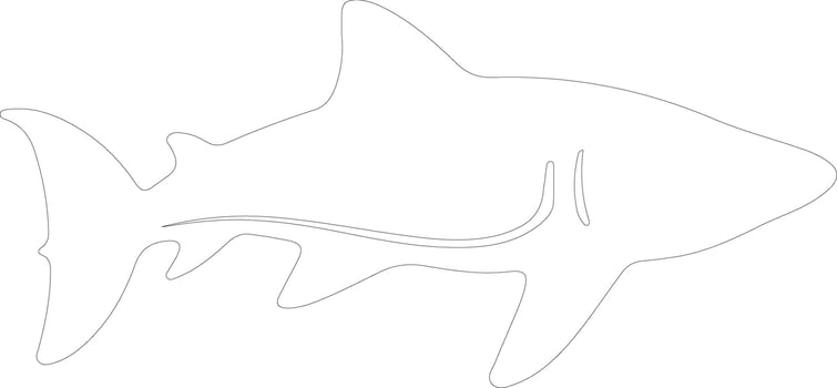 whale shark  outline silhouette vector