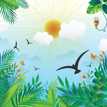 Green leaves elements. flowers Vector Background