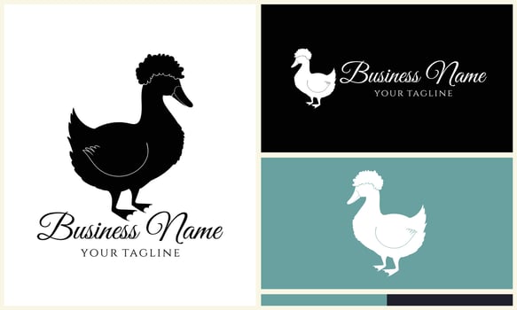 silhouette duck swim logo template vector