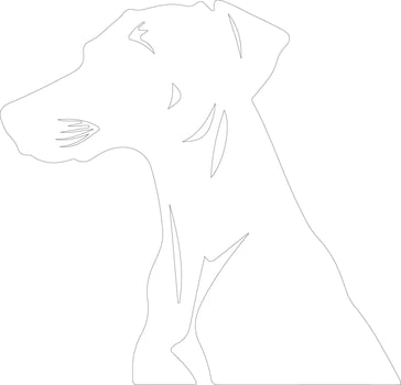 Sloughi outline silhouette vector