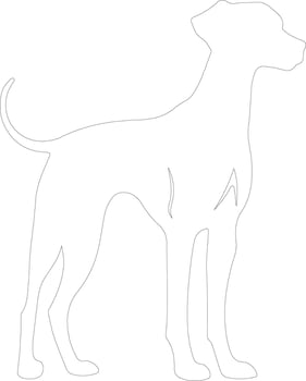 Sloughi outline silhouette vector