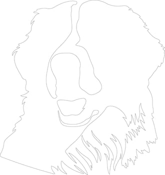 Bernese Mountain Dog  outline silhouette vector