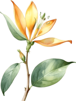 AI generated Watercolor painting of a honeysuckle flower. png