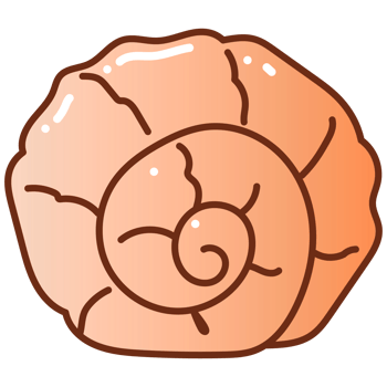 clam doodle cartoon png