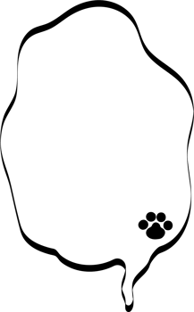 Animal pet paw Black and white color speech bubble balloon, icon sticker memo keyword planner text box banner, flat png transparent element design